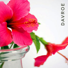 Moisture Senses Hydrating Shampoo